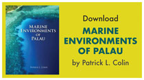 Download Marine Environments of Palau